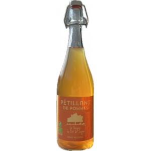 PETILLANT POMME 75CL VERGER DU PRE DE SAGNE BIO