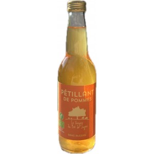 PETILLANT POMME 33CL VERGER DU PRE DE SAGNE BIO