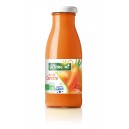 JUS DE CAROTTE 25CL BIO